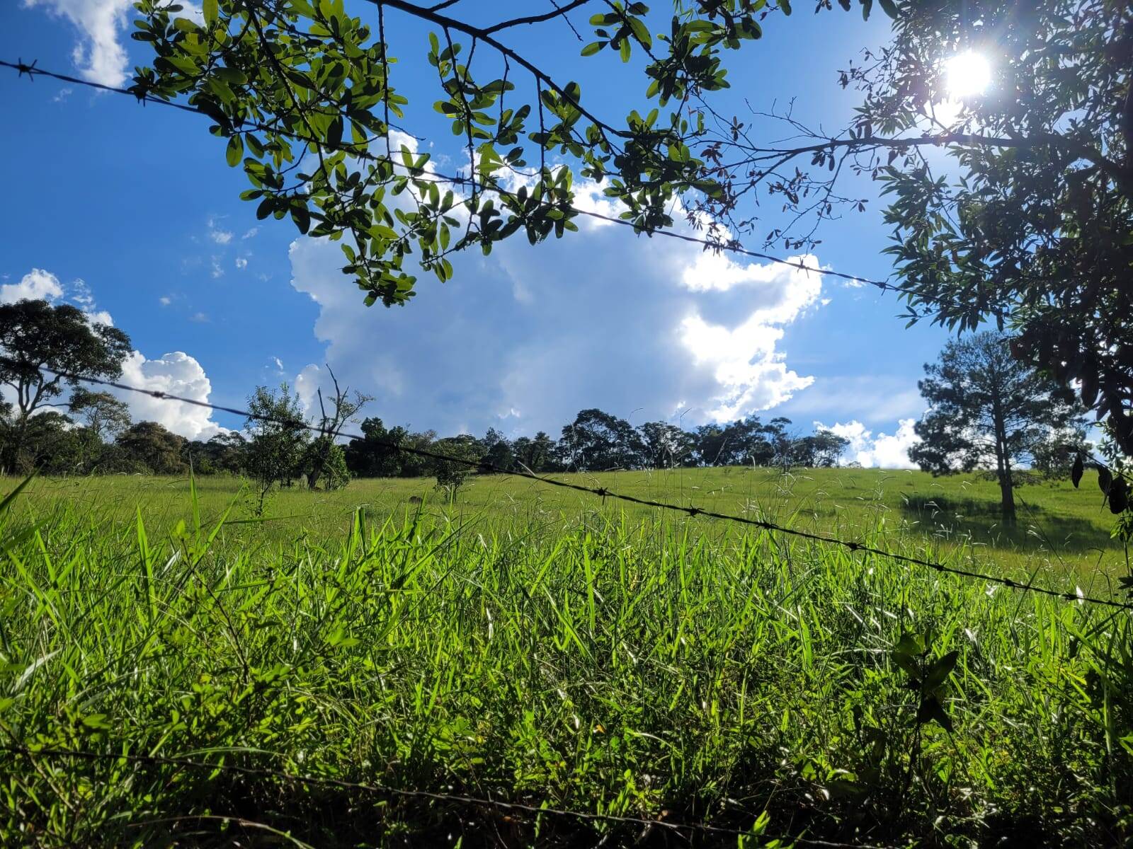 #234 - Sítio para Venda em Bragança Paulista - SP