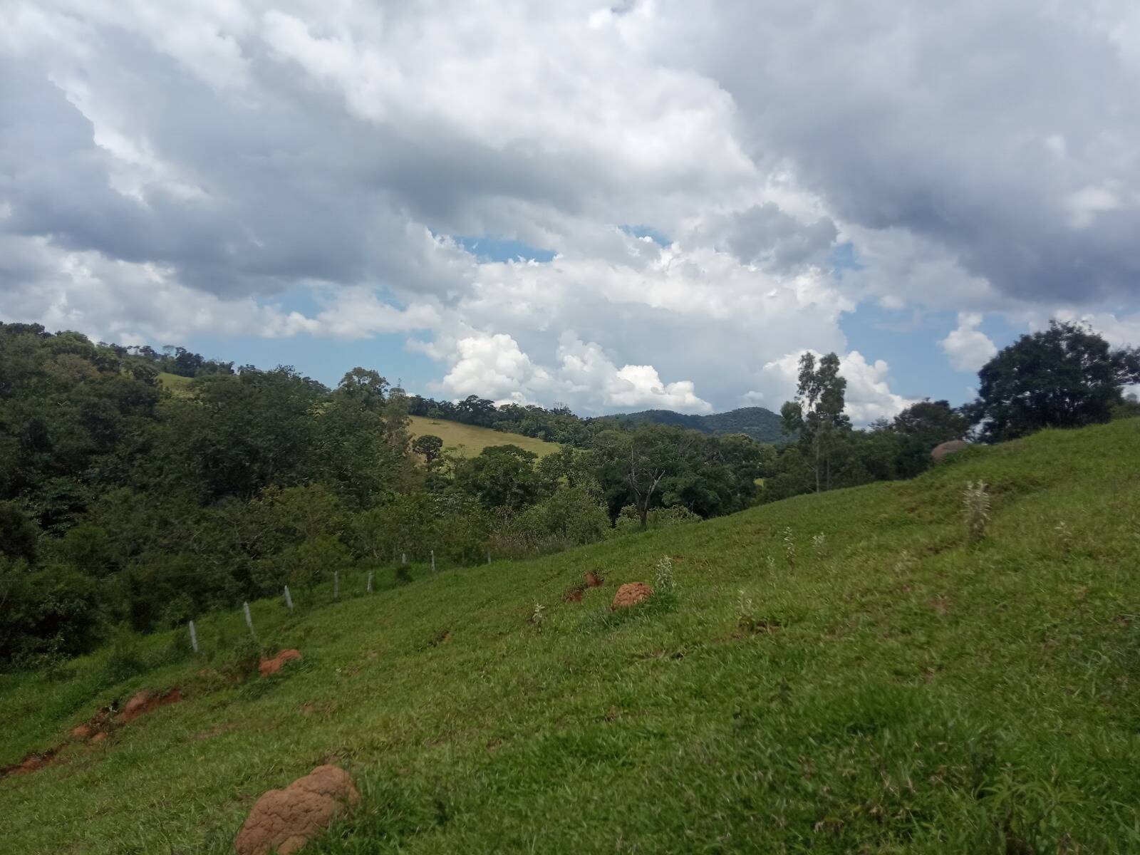 #314 - Sítio para Venda em Pinhalzinho - SP