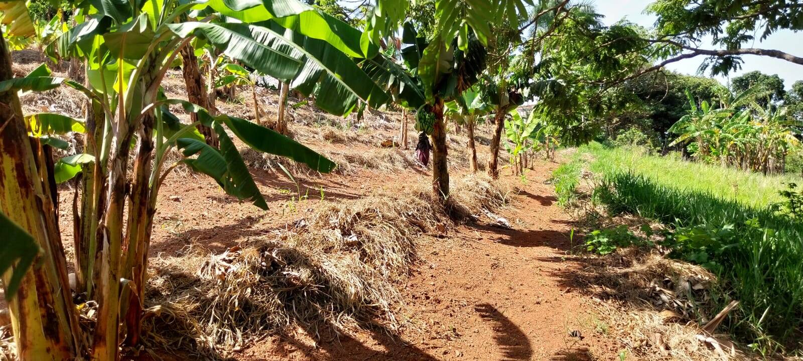 #328 - Área para Venda em Bragança Paulista - SP