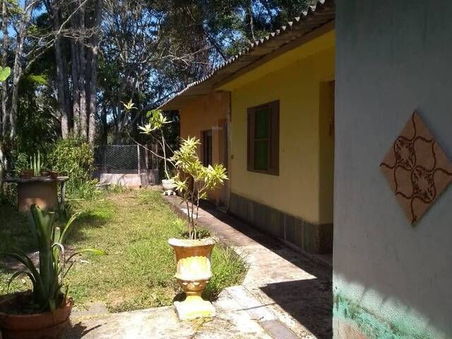 Sítio para Venda em Pinhalzinho - 5