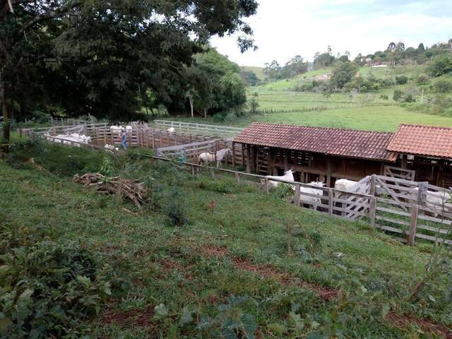 #77 - Sítio para Venda em Cambuí - MG - 3