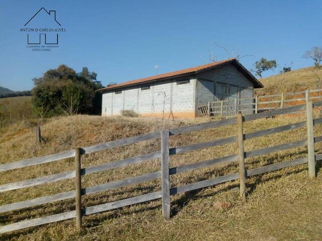 #77 - Sítio para Venda em Cambuí - MG - 1