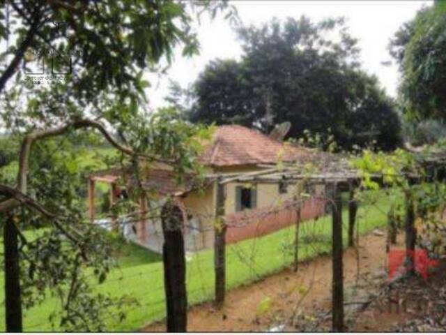 Sítio para Venda em Socorro - 4