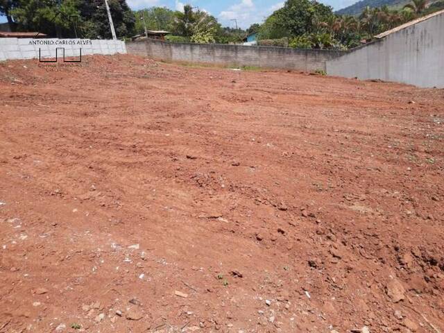 Terreno para Chácara para Venda em Bragança Paulista - 4