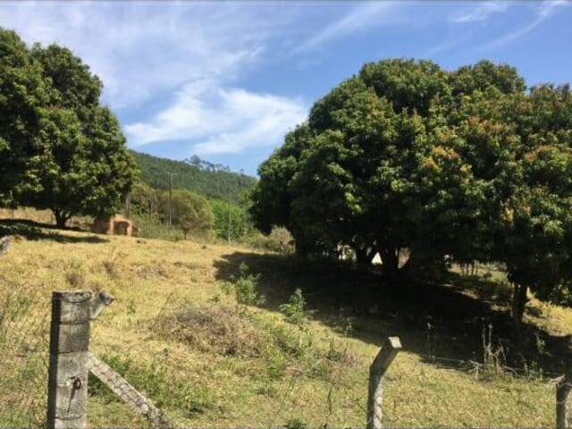 Terreno para Chácara para Venda em Bragança Paulista - 5