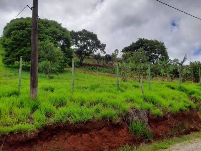 #173 - Terreno para Chácara para Venda em Bragança Paulista - SP - 3