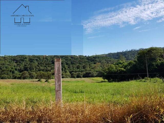 Terreno para Chácara para Venda em Pedra Bela - 4
