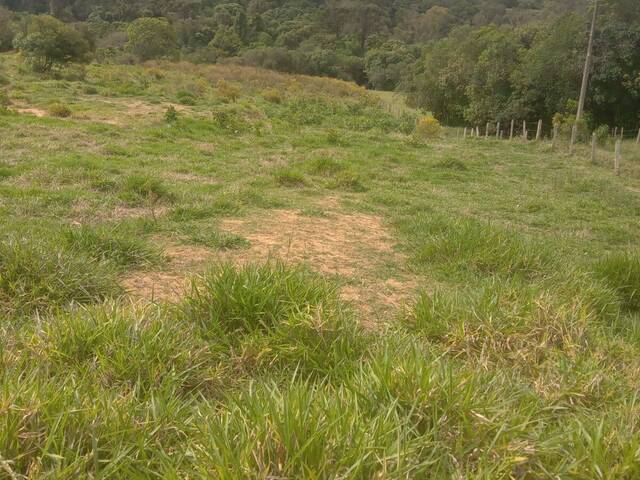 #180 - Terreno para Chácara para Venda em Pedra Bela - SP - 1