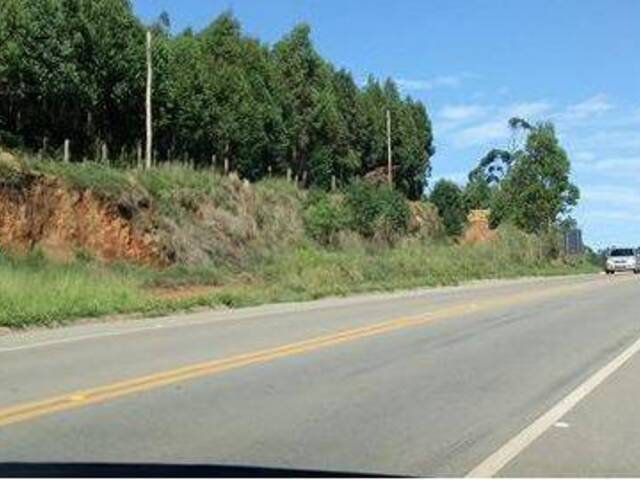 #194 - Terreno Acima de 20.000 m² para Venda em Pedra Bela - SP - 1