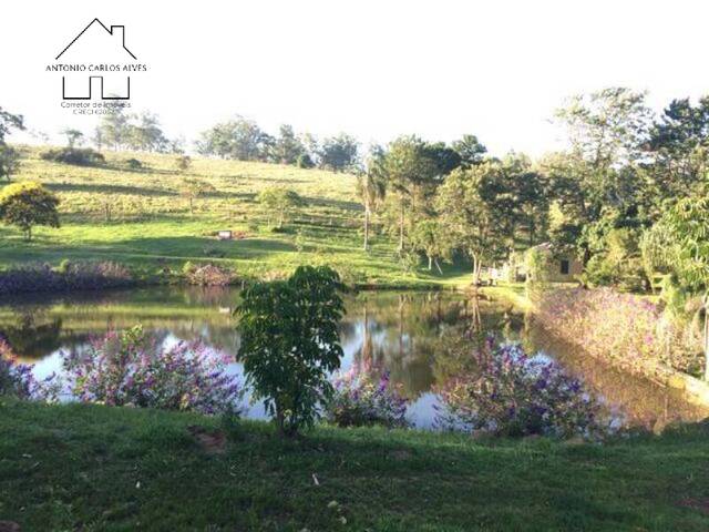 #198 - Fazenda para Venda em Morungaba - SP - 3