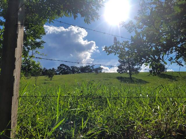 Sítio para Venda em Bragança Paulista - 5