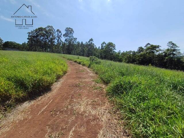 Terreno Acima de 20.000 m² na Represa para Venda em Piracaia - 4