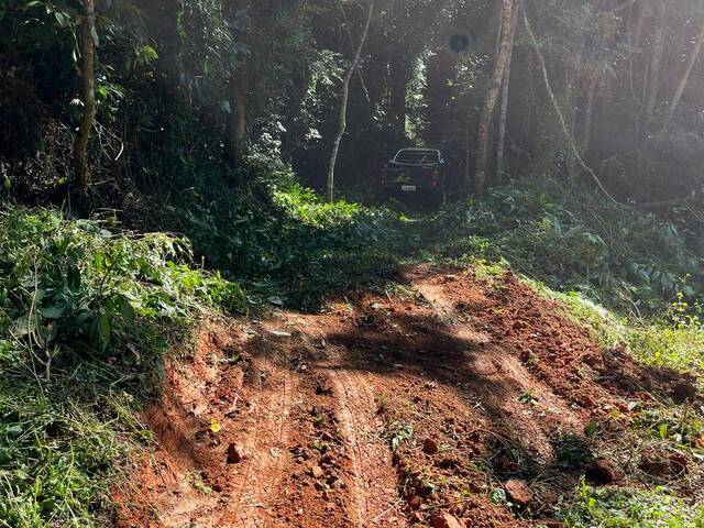 #248 - Sítio para Venda em Piracaia - SP - 1