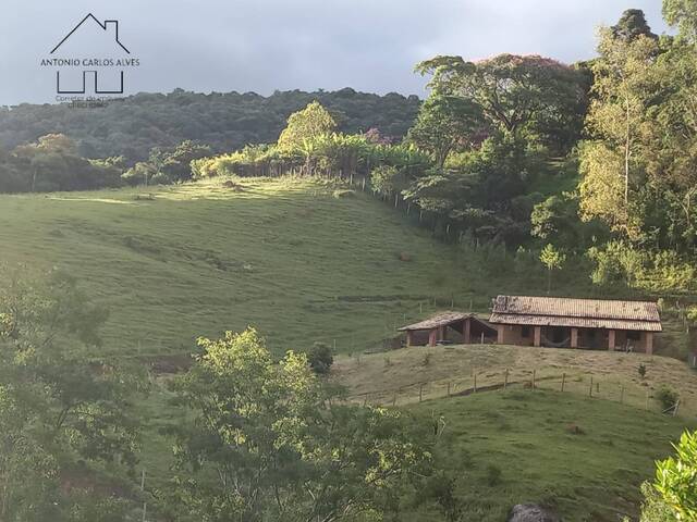 Sítio para Venda em Joanópolis - 4