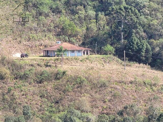 #5 - Sítio para Venda em Munhoz - MG - 2