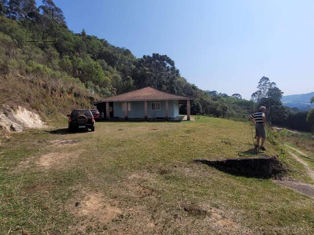 #5 - Sítio para Venda em Munhoz - MG - 3