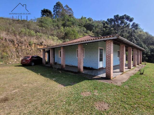 Sítio para Venda em Munhoz - 4