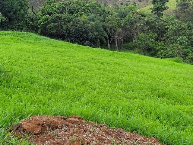 Terreno para Venda em Bragança Paulista - 4