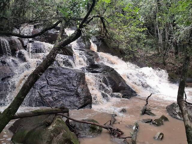 #276 - Sítio para Venda em Pinhalzinho - SP - 1
