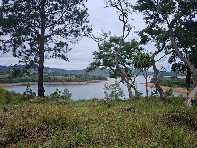 #278 - Terreno na Represa para Venda em Vargem - SP - 2