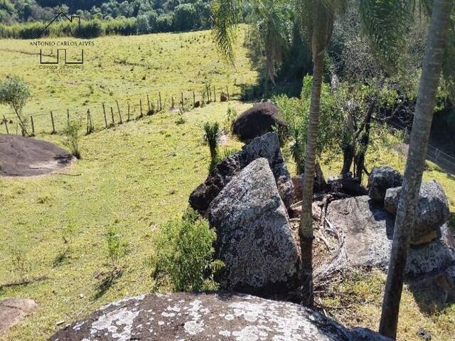 #198 - Fazenda para Venda em Morungaba - SP - 3