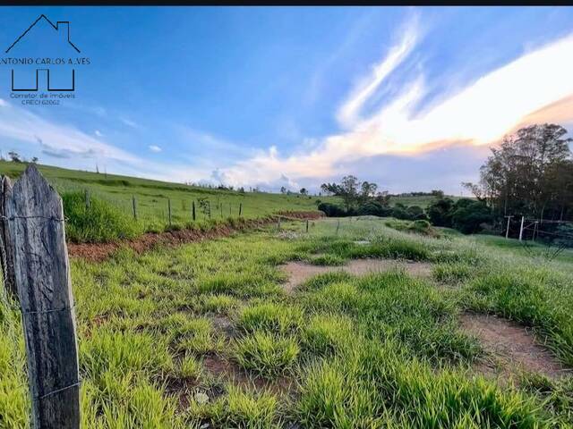 #302 - Terreno para Chácara para Venda em Bragança Paulista - SP - 3
