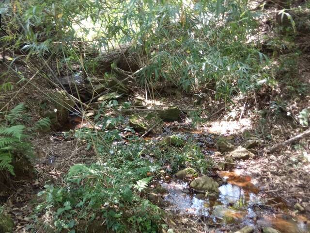 #314 - Chácara para Venda em Pinhalzinho - SP - 3