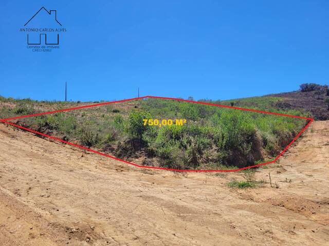 #315 - Terreno para Venda em Munhoz - MG - 1