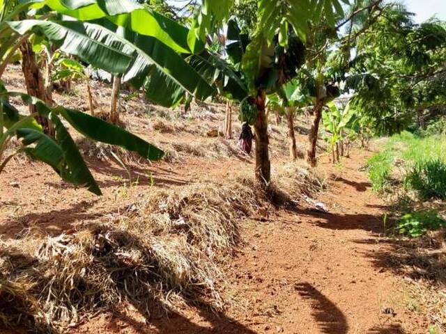 #327 - Área para Venda em Bragança Paulista - SP - 3