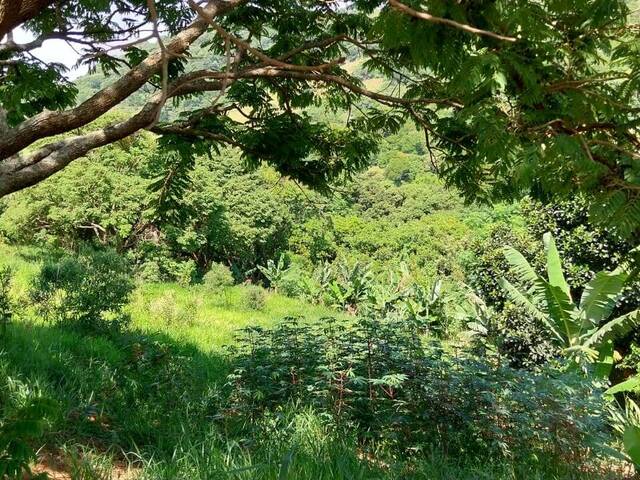 Área para Venda em Bragança Paulista - 4