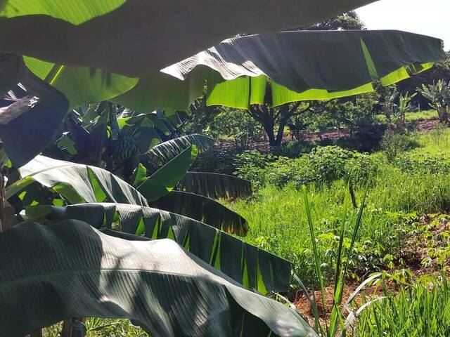 #328 - Área para Venda em Bragança Paulista - SP - 3