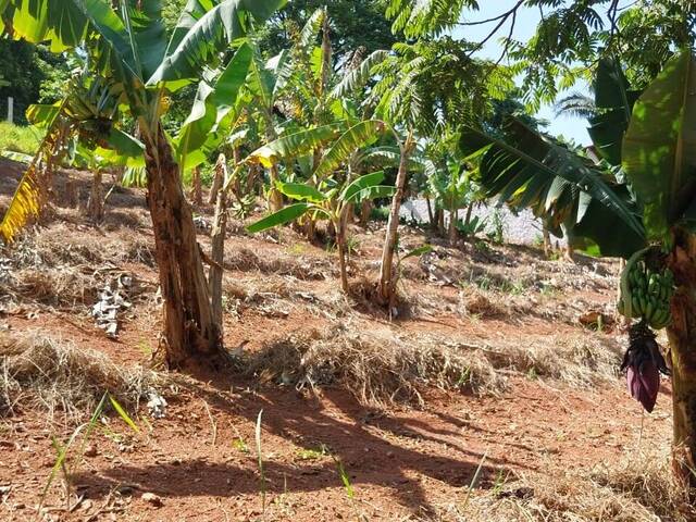 Área para Venda em Bragança Paulista - 5
