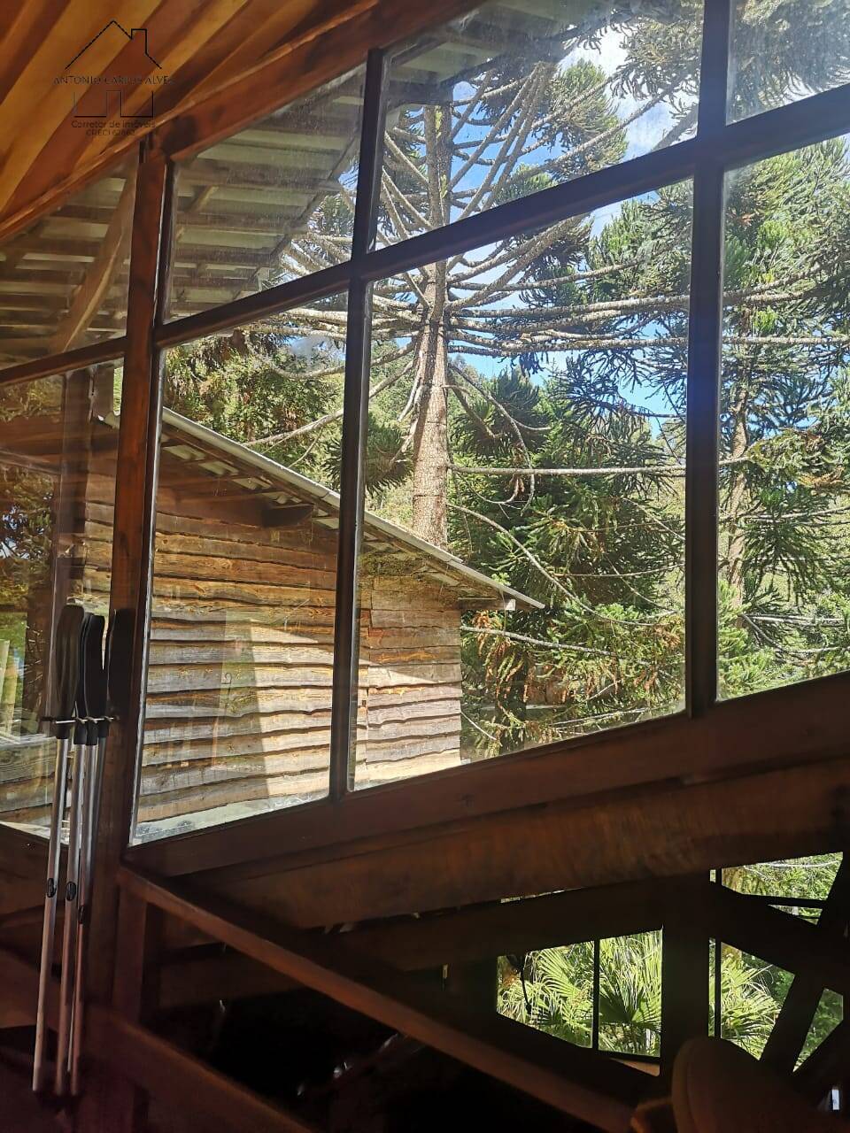 Prédio Inteiro, 2000 m² - Foto 95