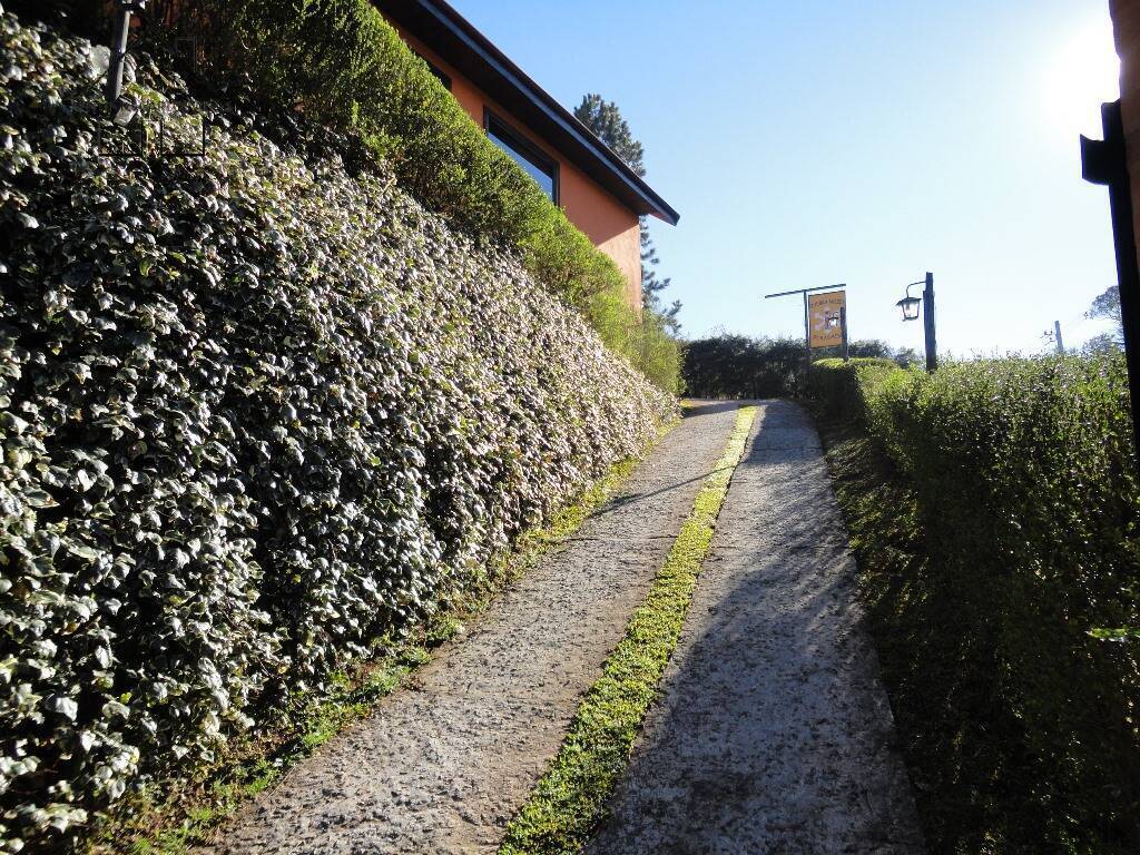 Prédio Inteiro, 440 m² - Foto 16