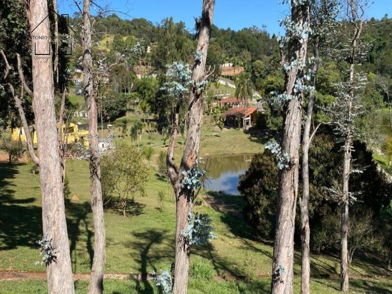 Sítio, 6 quartos, 4 hectares - Foto 6