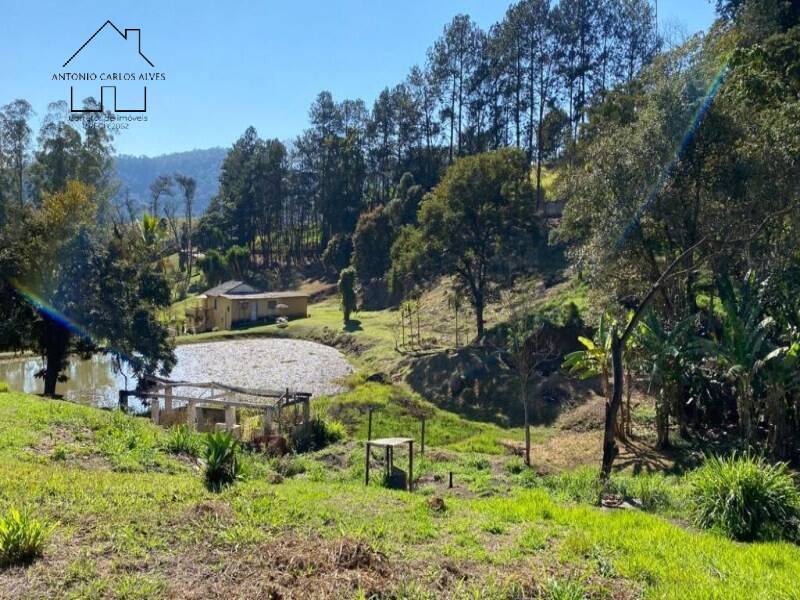 Sítio, 6 quartos, 4 hectares - Foto 11