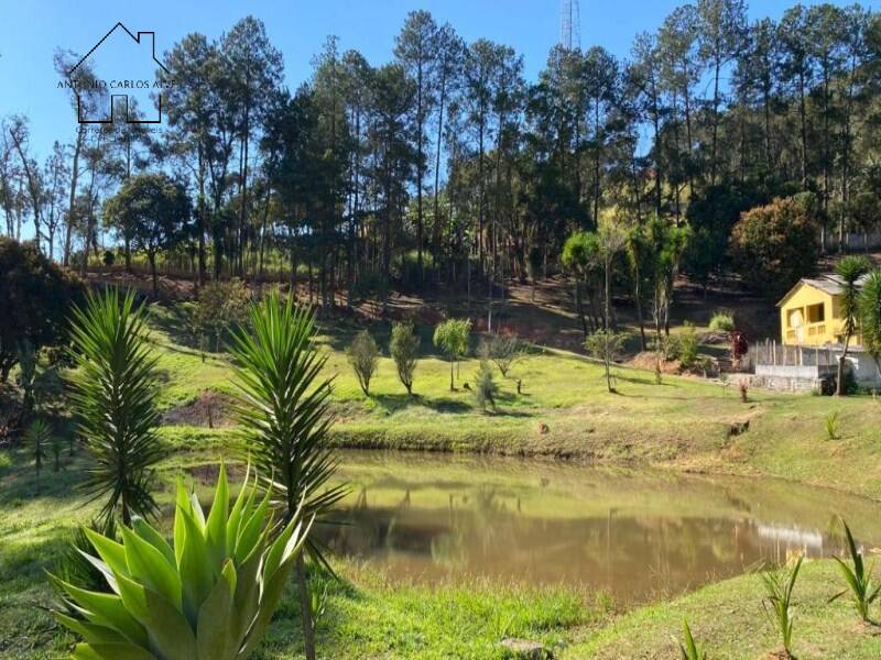Sítio, 6 quartos, 4 hectares - Foto 18