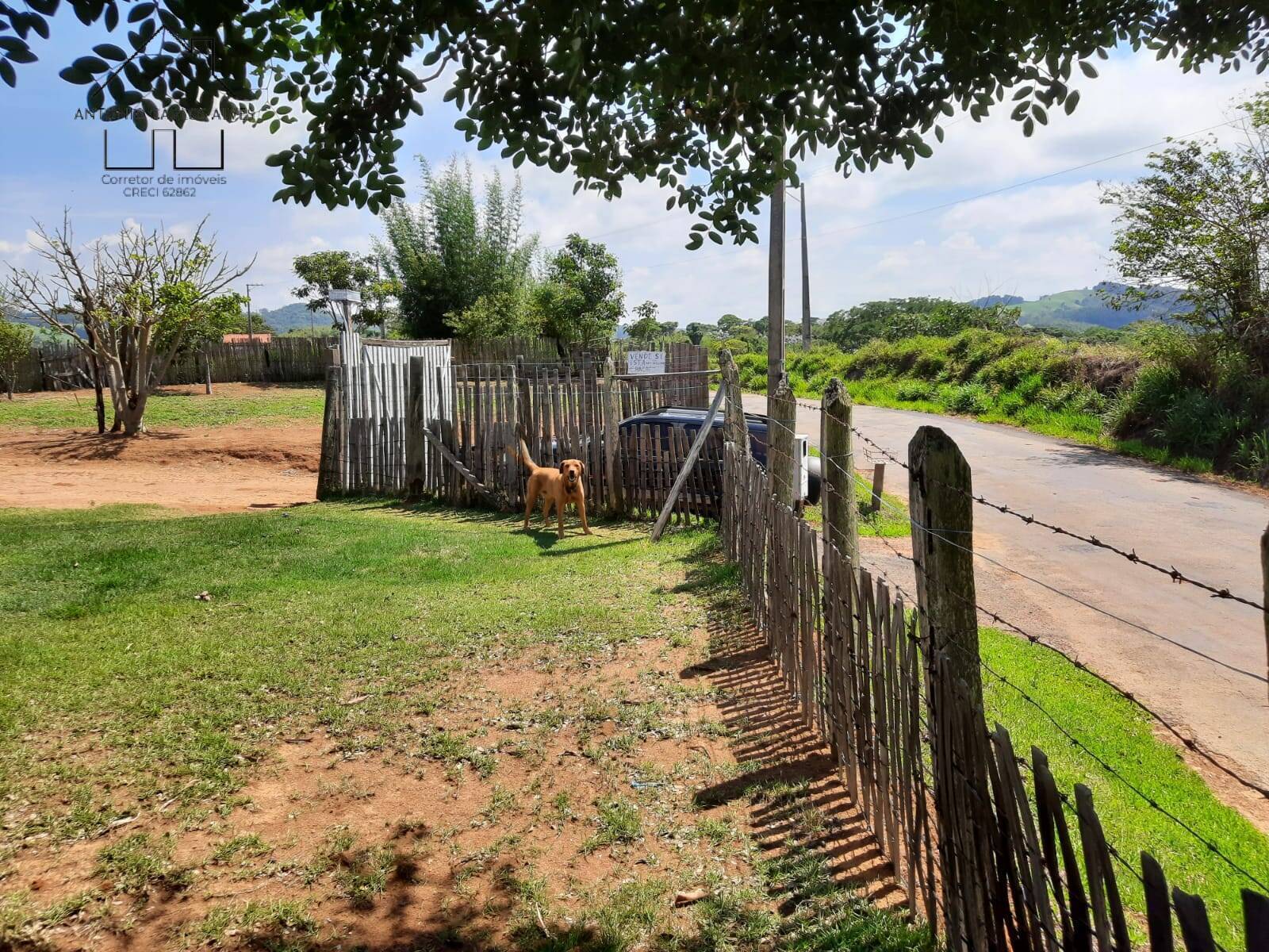 Chácara, 2 quartos, 5000 m² - Foto 7