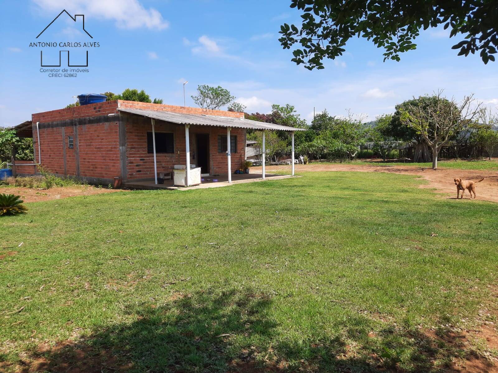 Chácara, 2 quartos, 5000 m² - Foto 2
