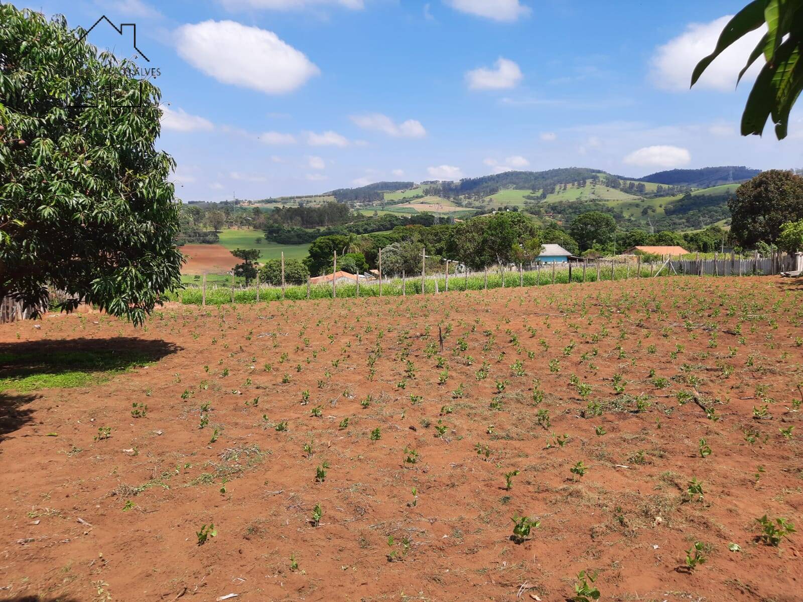 Chácara, 2 quartos, 5000 m² - Foto 31