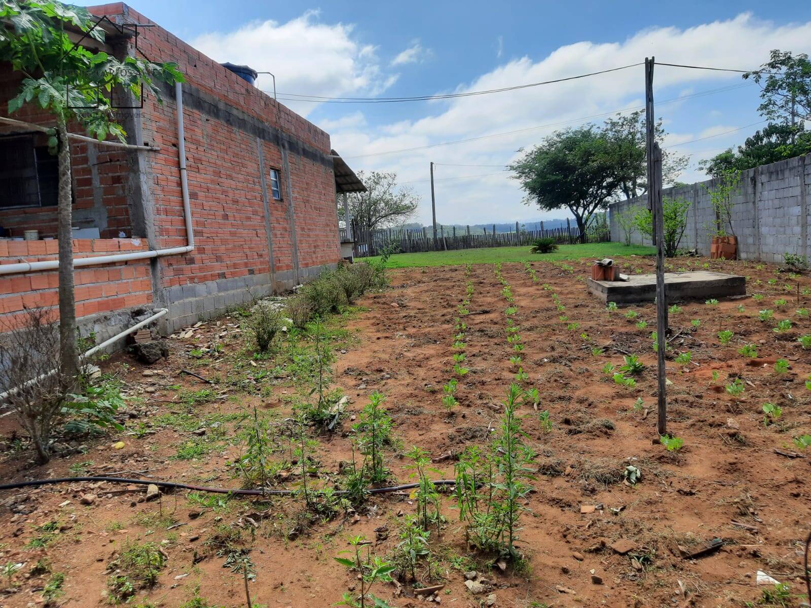 Chácara, 2 quartos, 5000 m² - Foto 30