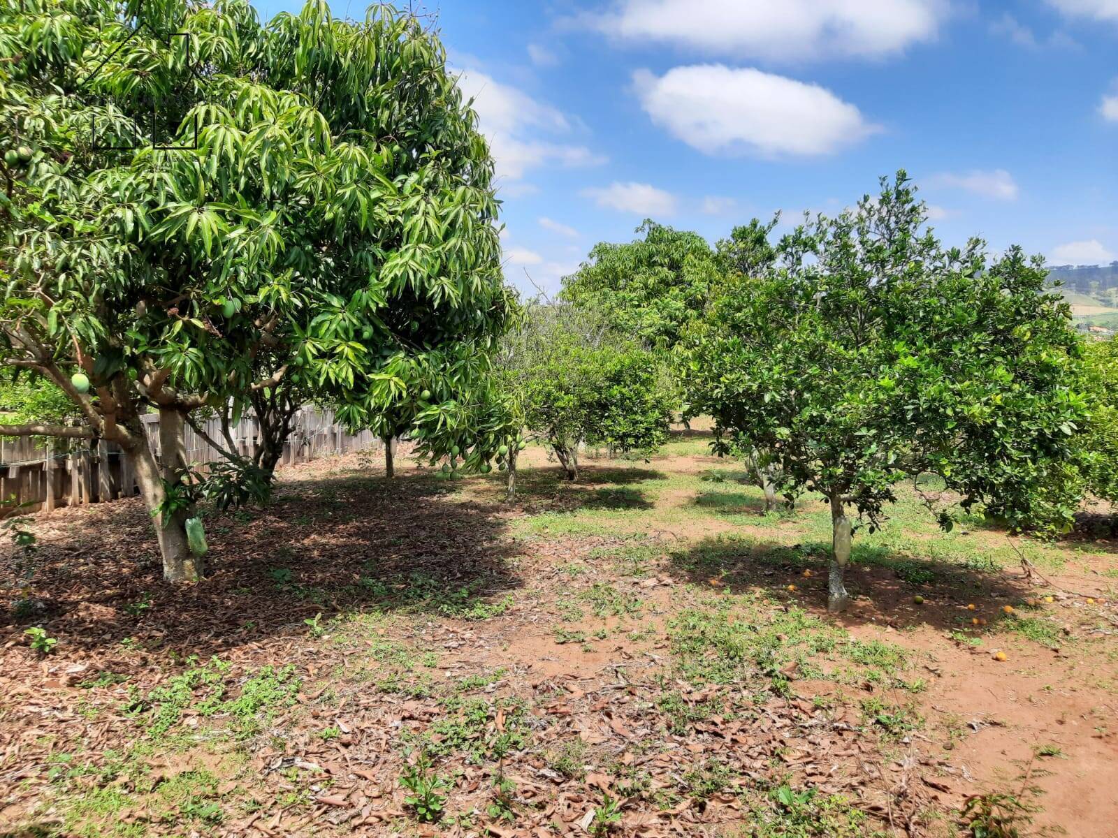Chácara, 2 quartos, 5000 m² - Foto 32