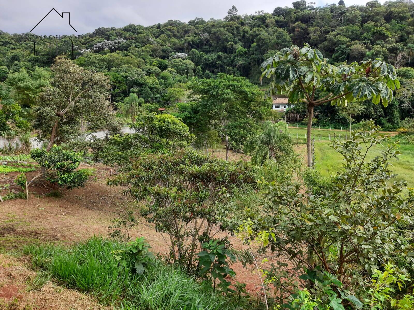 Chácara, 2 quartos, 2000 m² - Foto 34