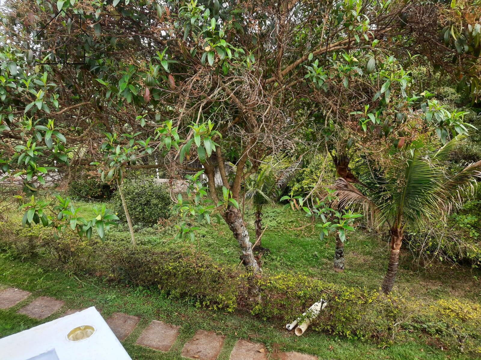 Chácara, 3 quartos, 2940 m² - Foto 17