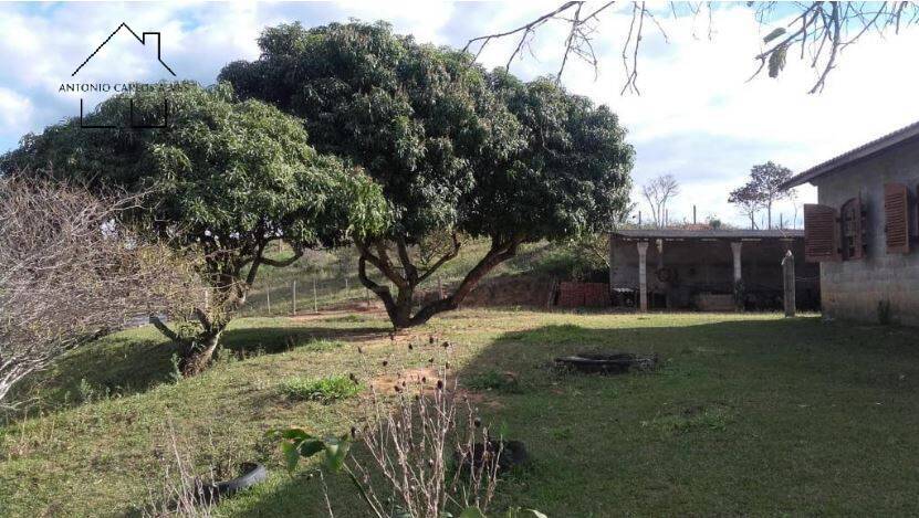 Sítio à venda com 3 quartos, 240m² - Foto 45