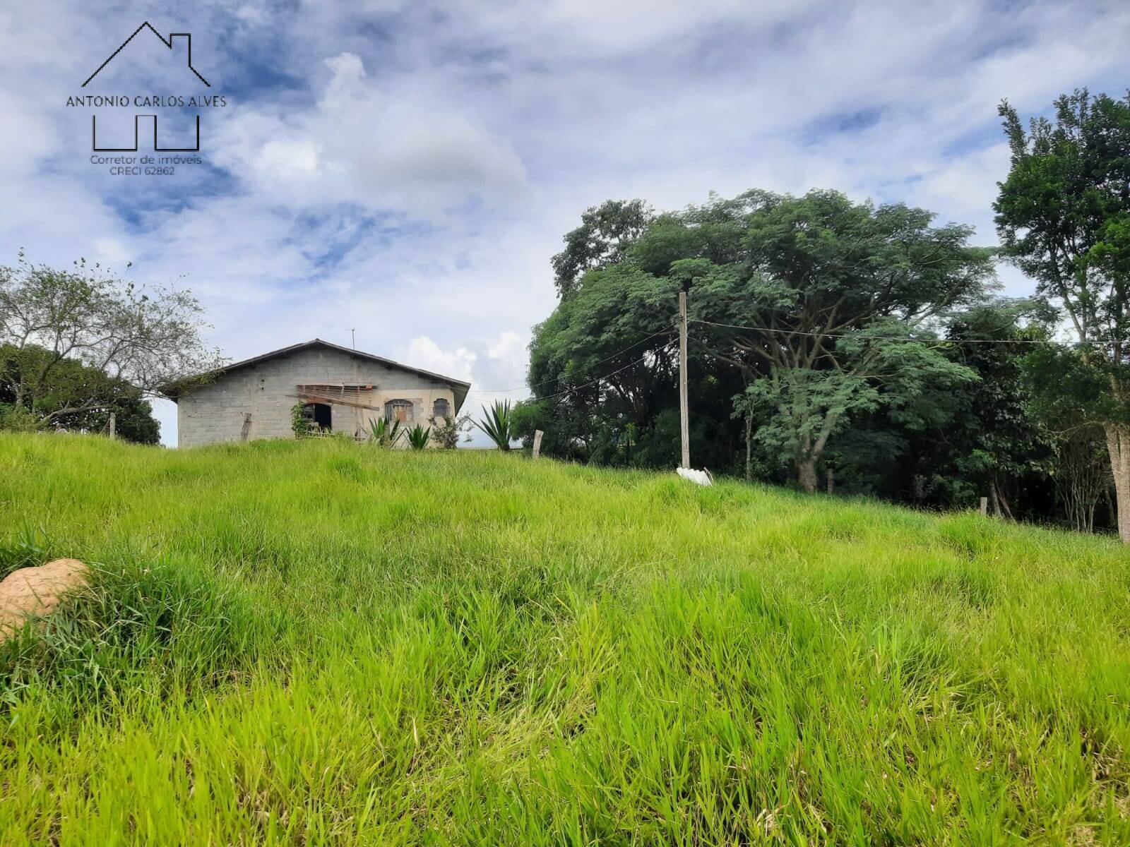 Sítio à venda com 3 quartos, 240m² - Foto 6