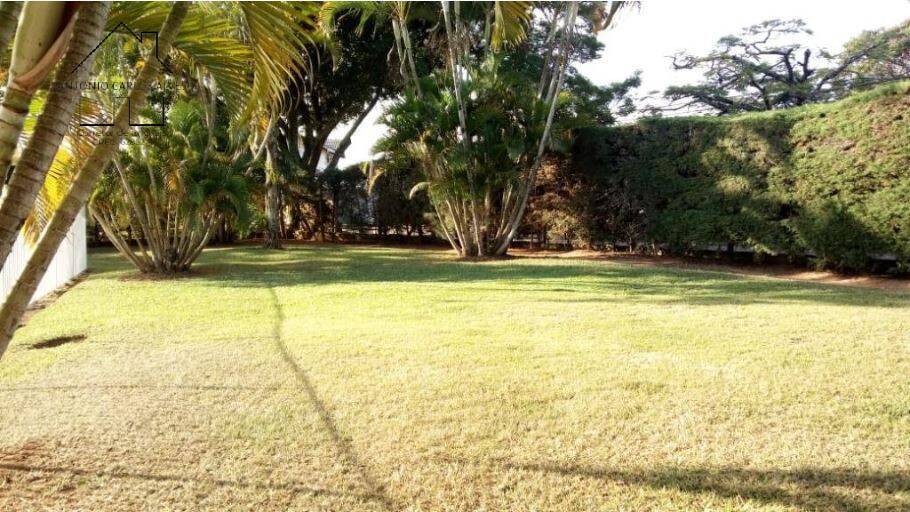 Chácara à venda com 4 quartos, 350m² - Foto 9