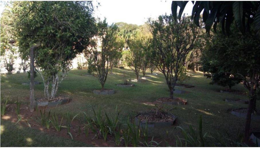 Chácara à venda com 4 quartos, 350m² - Foto 50