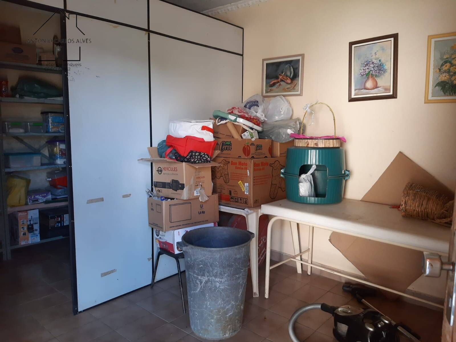 Chácara, 3 quartos, 3187 m² - Foto 19