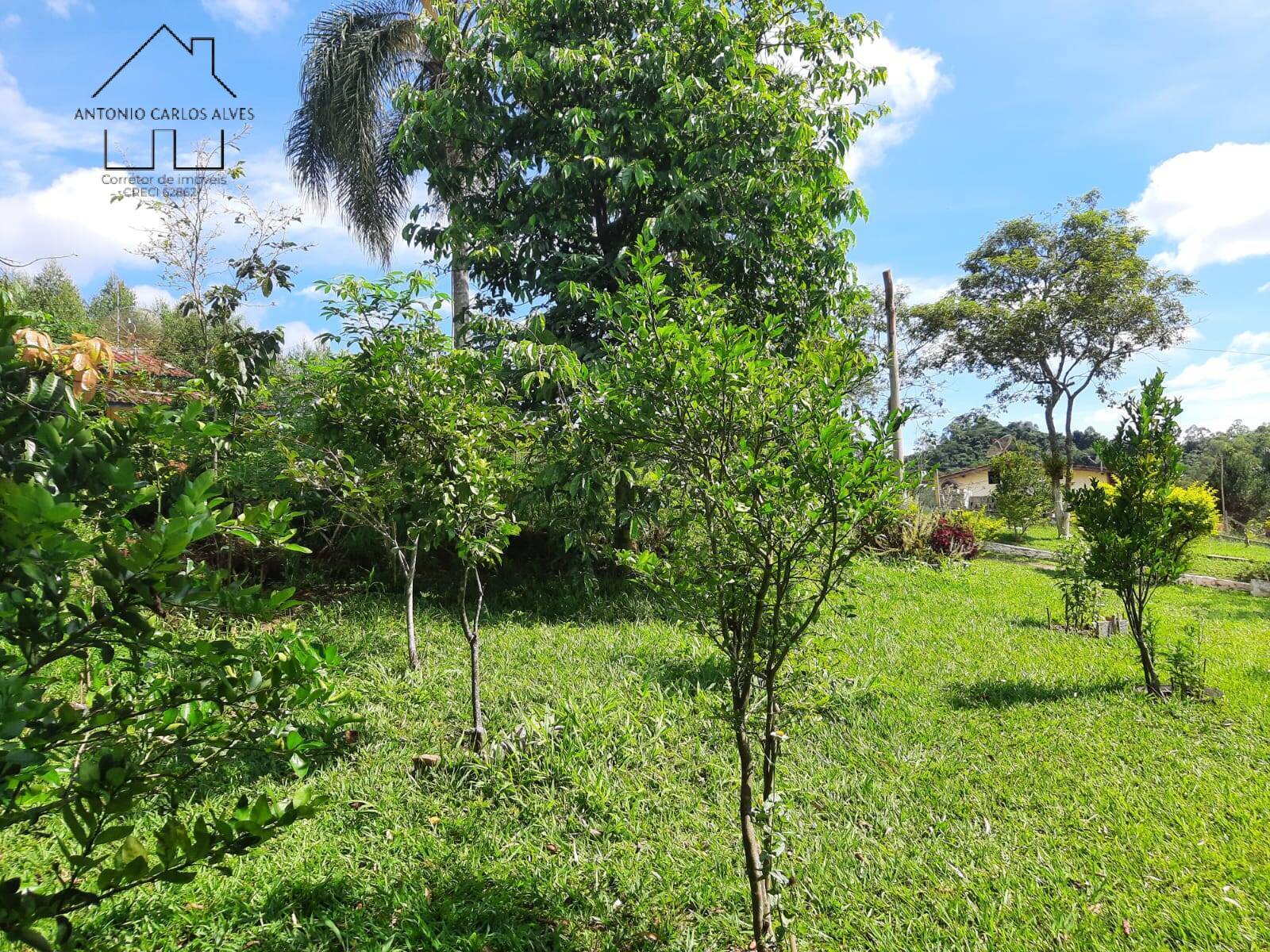 Chácara, 4 quartos, 3000 m² - Foto 50